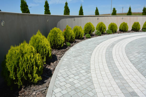 Reasons to Select Us for Your Driveway Paving Requirements in St Joseph, IL